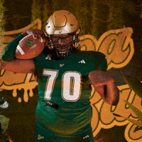 College Football GIF by USF Athletics