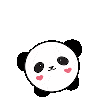 panda lipbalm Sticker by tonymoly