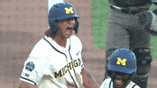 umichathletics clapping brewer michiganbaseball GIF