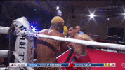 Punch Boxing GIF by RCC Sport