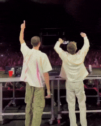 Louis The Child Edm GIF
