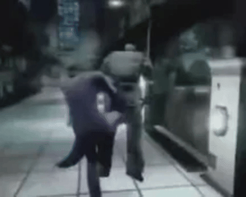 pizzavetrata giphyattribution giphycreatortest GIF