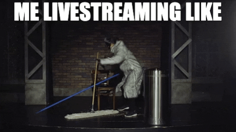 sciencewithsophie giphygifmaker live streaming raccoon GIF