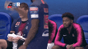 champions league sport GIF by Paris Saint-Germain Handball