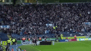 celebrate premier league GIF by Aston Villa FC