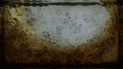 sub pop drunk in la GIF by Sub Pop Records