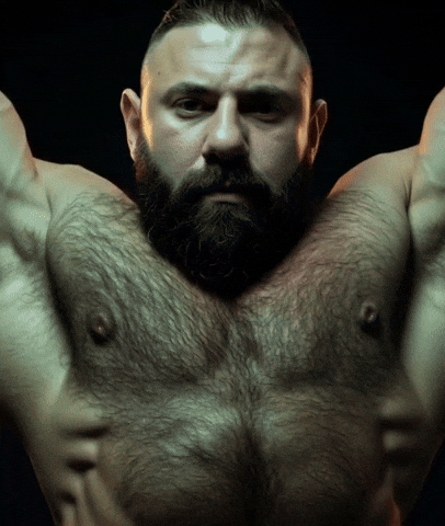 Gay Bear GIF by Database數據