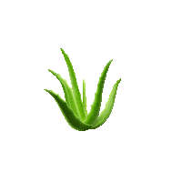 Hair Shampoo Sticker by GarnierIT