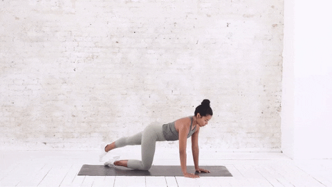 Fitness Workout GIF by 8fit