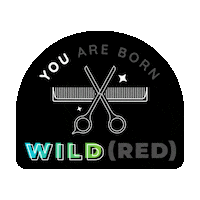 Rhode Island Hairdresser Sticker by Wild Red Salon