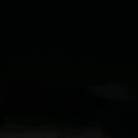 Celebrate 4Th Of July GIF by NOSAM