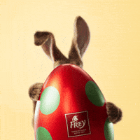 Bonjour Lapin GIF by Migros