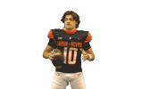 Cnfb Sticker by Carson-Newman Athletics