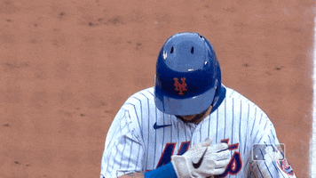Celebrate Home Run GIF by New York Mets