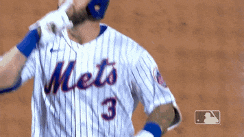 New York Sport GIF by MLB