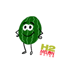 Water Watermelon Sticker by H2coco