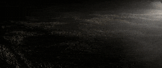 It Gets Better Party GIF by Swedish House Mafia