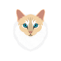 Cat Indy Sticker by Melina Bucher