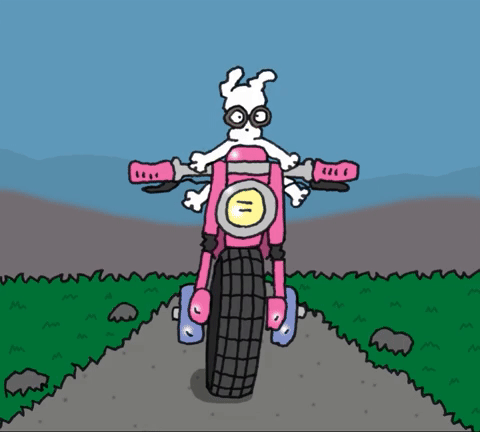 Motorcross