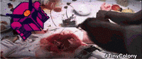 tinycolony gaming solana tinycolony GIF