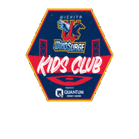 WindSurgeICT baseball aa minor league baseball ict Sticker