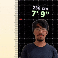 7' 9"