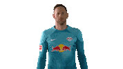 Peter Gulacsi Football Sticker by RB Leipzig