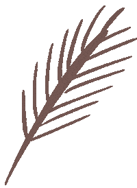 peasandneedles nature leaf brown fern Sticker