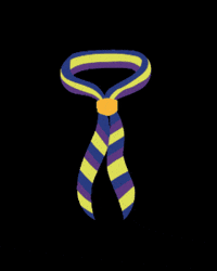 Castelldefels GIF by Escoltes Catalans