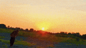 Landscape Videography GIF by Redhazestudios
