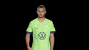 Oh No Bundesliga GIF by VfL Wolfsburg