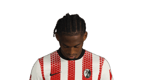 Look Up Sc Freiburg Sticker by Bundesliga