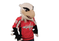 Cant Look Ice Hockey Sticker by NHL