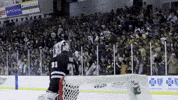 Western Michigan Hockey GIF by TheDreamTeam 