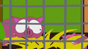 glasses mr. herbert garrison GIF by South Park 