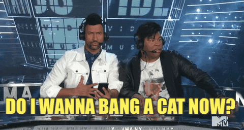 key and peele do i wanna bang a cat now GIF by 2017 MTV Video Music Awards