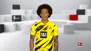 Football Sweating GIF by Bundesliga