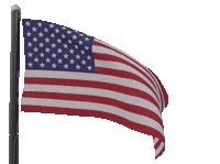 Waving American Sticker by tracheotommy