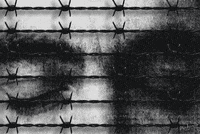 art film GIF by PEEKASSO