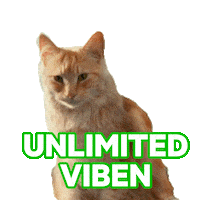 Cat Party Sticker by KPN