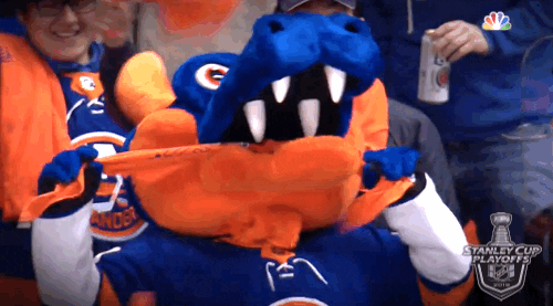 ice hockey GIF by NHL