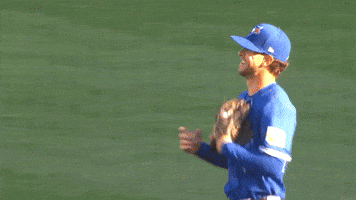 Blue Jays Hello GIF by Toronto Blue Jays