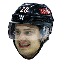 Happy Carolina Hurricanes Sticker by NHL