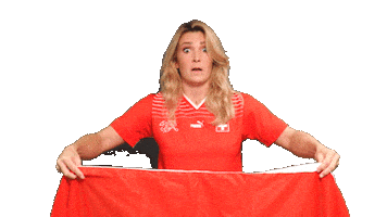 Switzerland Ray Sticker by Swiss Football Association