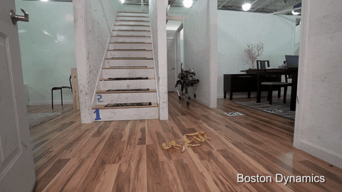 dog robot GIF