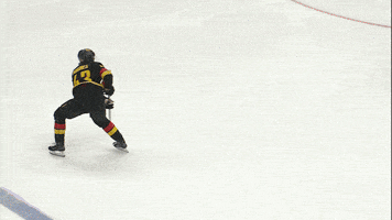 Quinn Hughes Hockey GIF by Vancouver Canucks