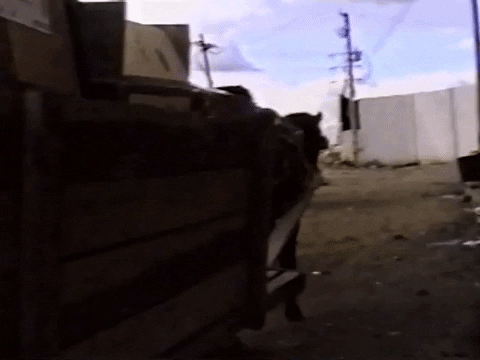 Vintage Vhs GIF by jorgemariozuleta