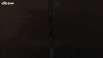 GIF by The Chi