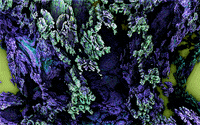 anxiety closing in GIF by David Berrebi