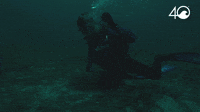 Osborne Reef